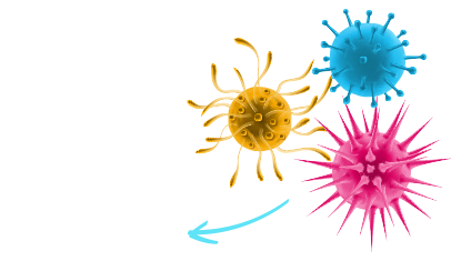 Virus